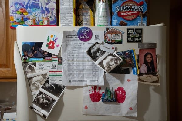 things on a magnet refrigerator