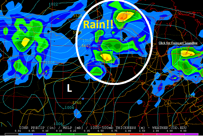 563 gfs