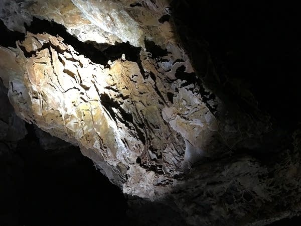 Boxwork lines the walls of Wind Cave