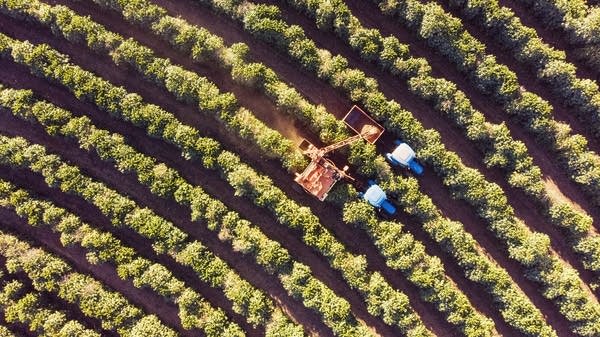 Coffee production is concentrated in Vietnam and Brazil, so if one of those countries faces a drought, prices go up across the globe.