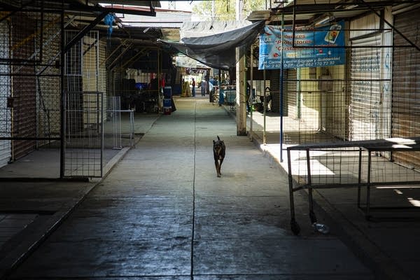 On a weekday in November, the Héctor Espino Tianguis was almost empty.