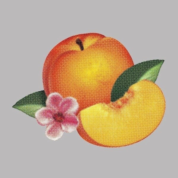 Album Review: Phoenix - Bankrupt!