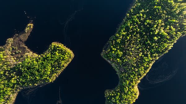Nett Lake Islands