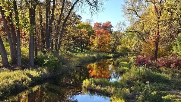 Winds ease up on Sunday; Monday will be the warmest day next week