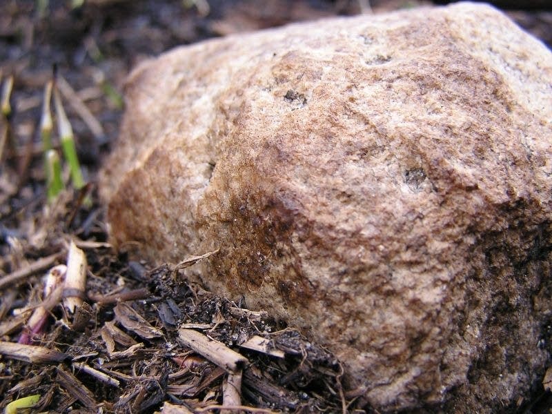 After the fire is out, Minnesota's Wildfire Investigation Team goes to