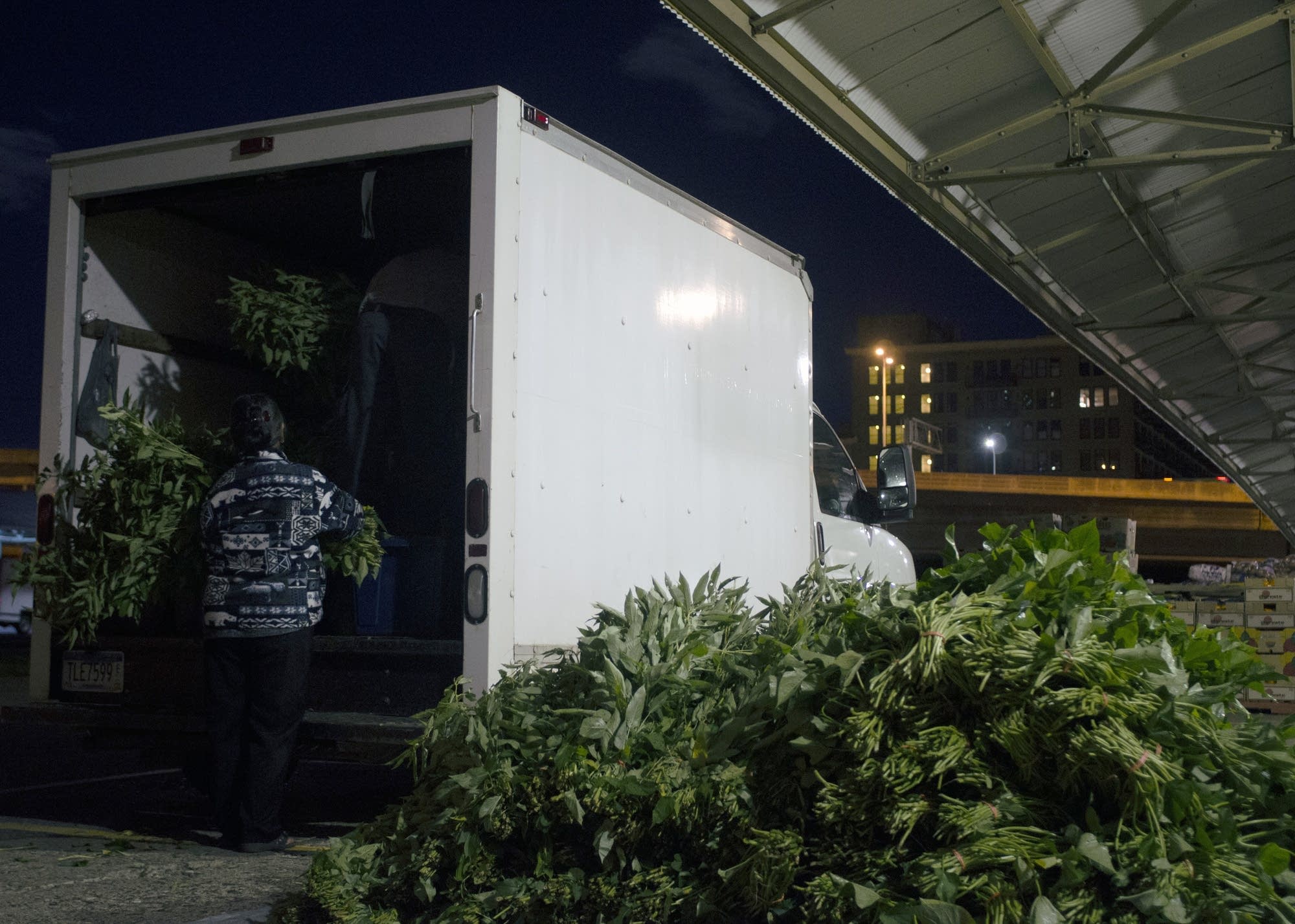 Farmers unload potato greens.
