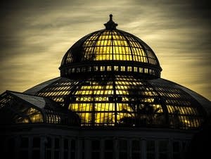 Marjorie McNeely Conservatory in Como Park.