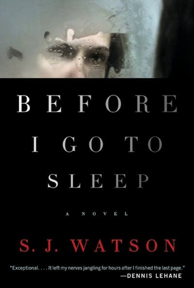 'Before I Go To Sleep' by S.J. Watson