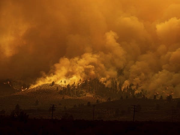 A wildfire burns on a mountainside