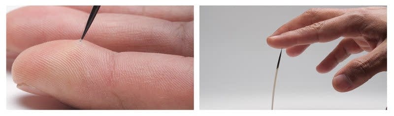 The quill tip in this finger has microscopic, backward-facing barbs.