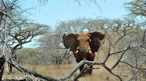 Marketplace Tech for Tuesday, November 22, 2016