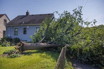 Storm Damage