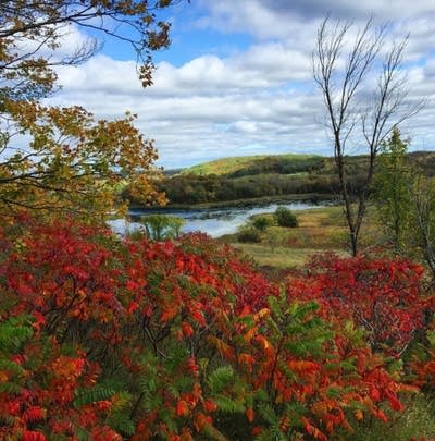 Fall Colors