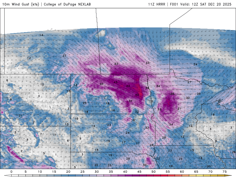 Wind gusts forecast