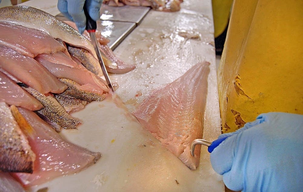 Fish filets