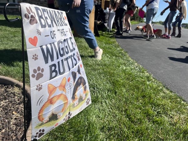 A sign reads "Beware of the wiggle butts."