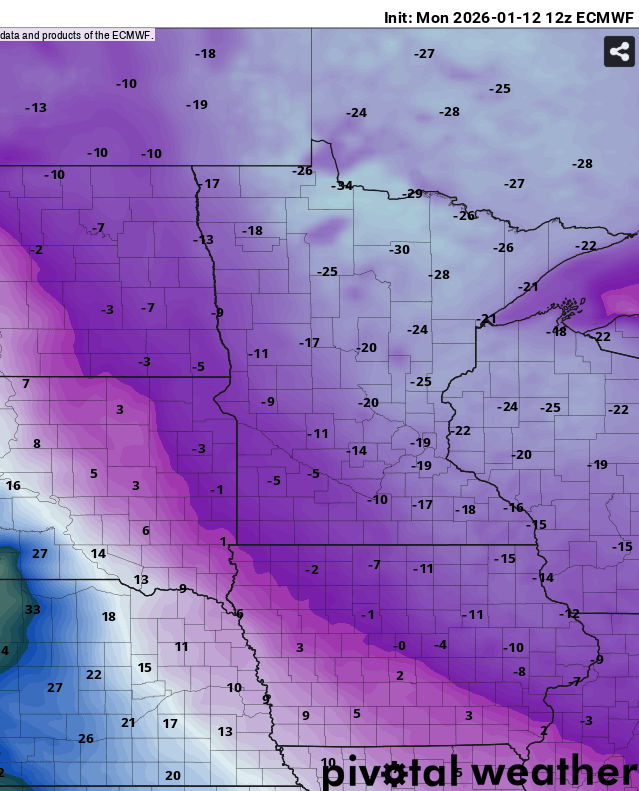 European ECMWF model temperature