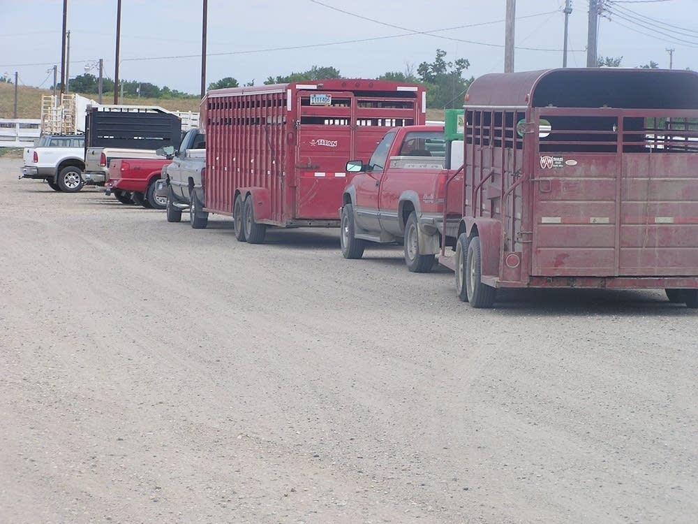 Empty stock trailers at the sale barn
