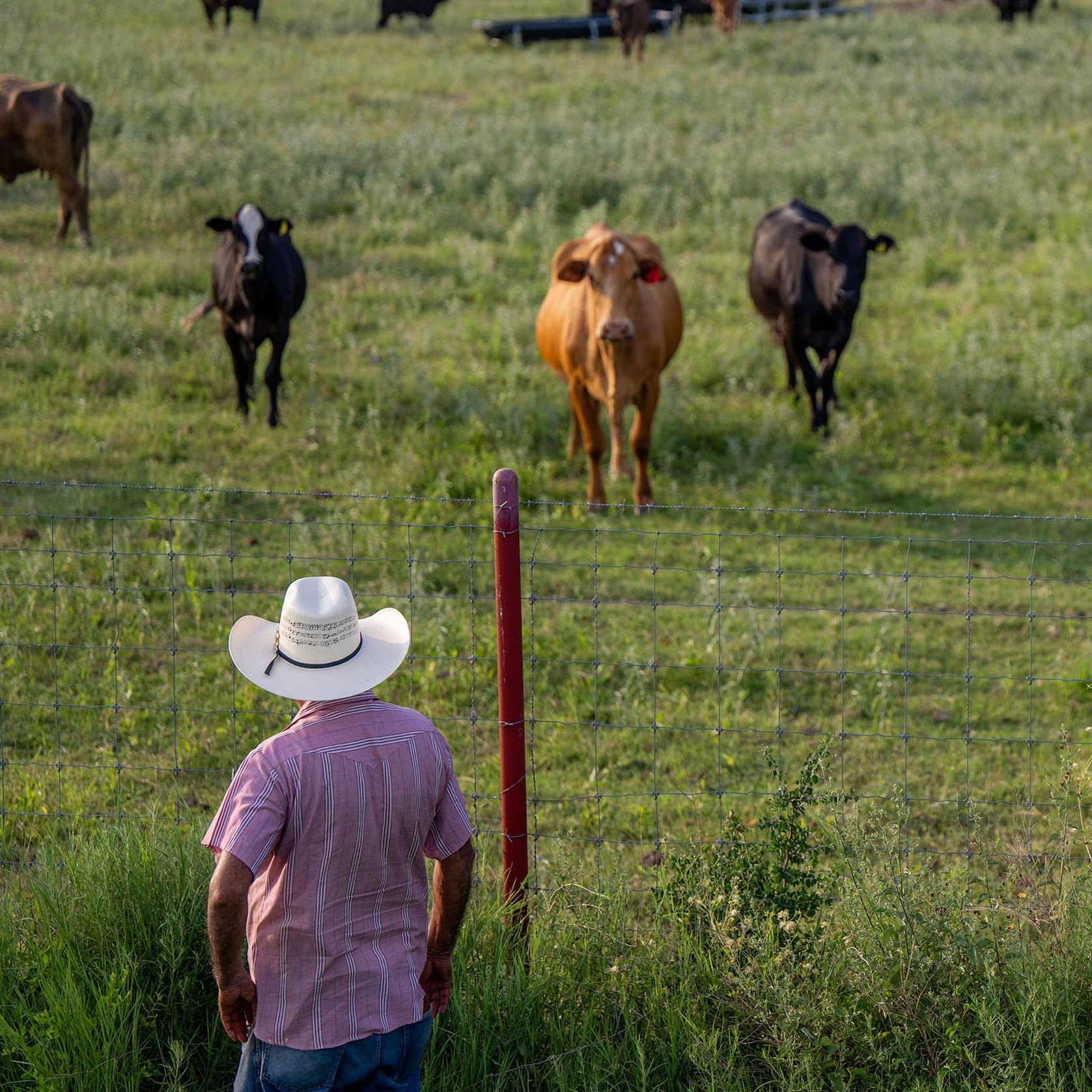 Climate adaptation as part of the curriculum