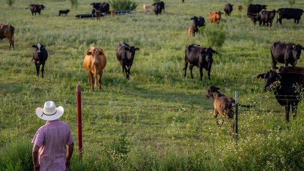 Climate adaptation as part of the curriculum  