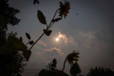 Air quality alert continues through Monday, U.S. Forest Service provides updates