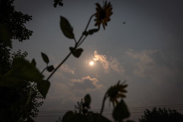 Wildfire smoke disrupts outdoor parties, concerts across Twin Cities