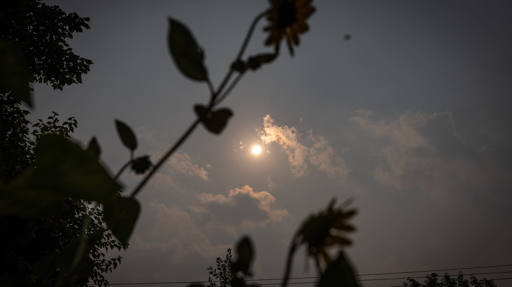Wildfire smoke disrupts outdoor parties, concerts across Twin Cities