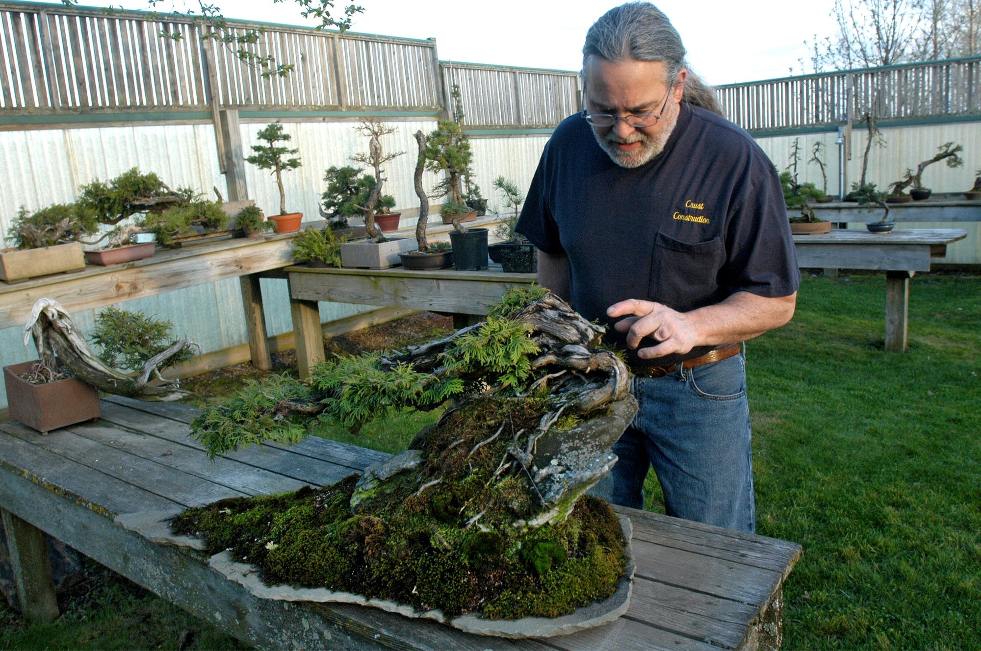 The Witch Tree is an American white cedar collected from a shoreline.
