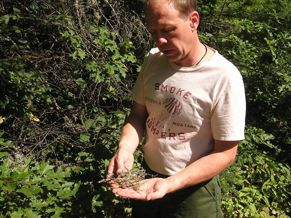 Timo Rova