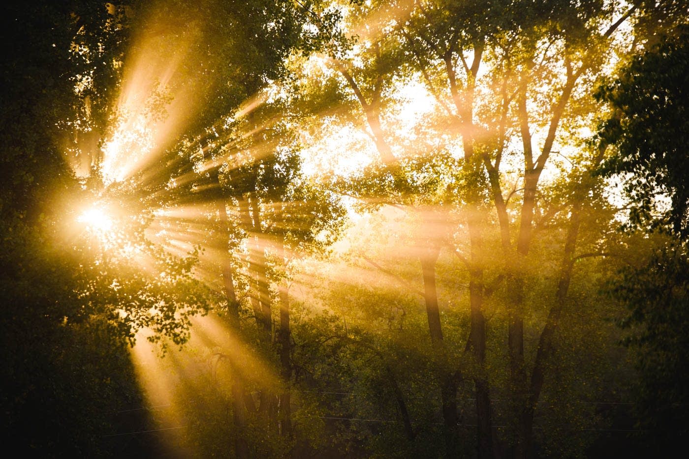 Coffee Break Songs About Nature