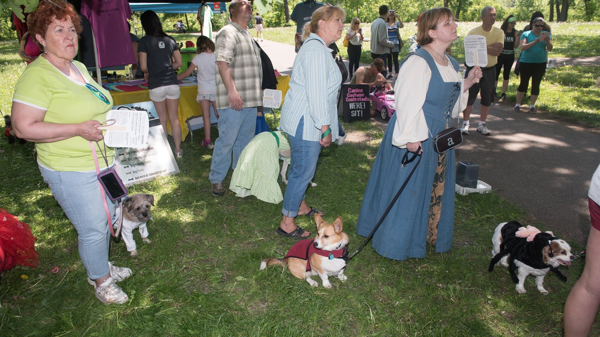 Literary dogs and the Little Free Library Festival | MPR News
