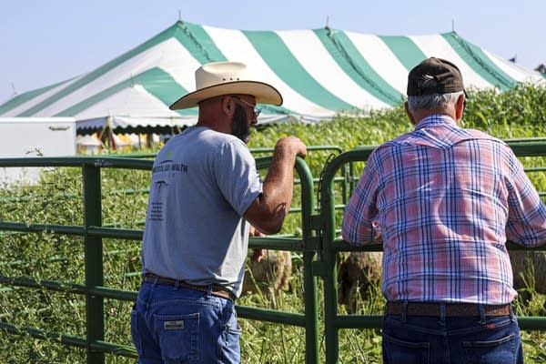 299876-20250805-farmfest103-600 MN Reps discusses the budget bill and negatives in Farmfest