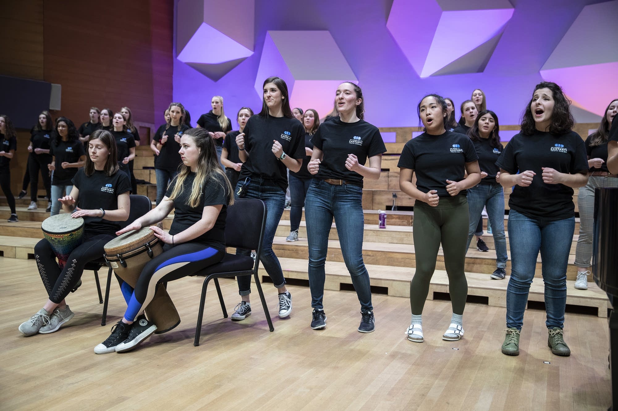 Singers from Bloomington's Angelica Cantanti invited to perform at ACDA