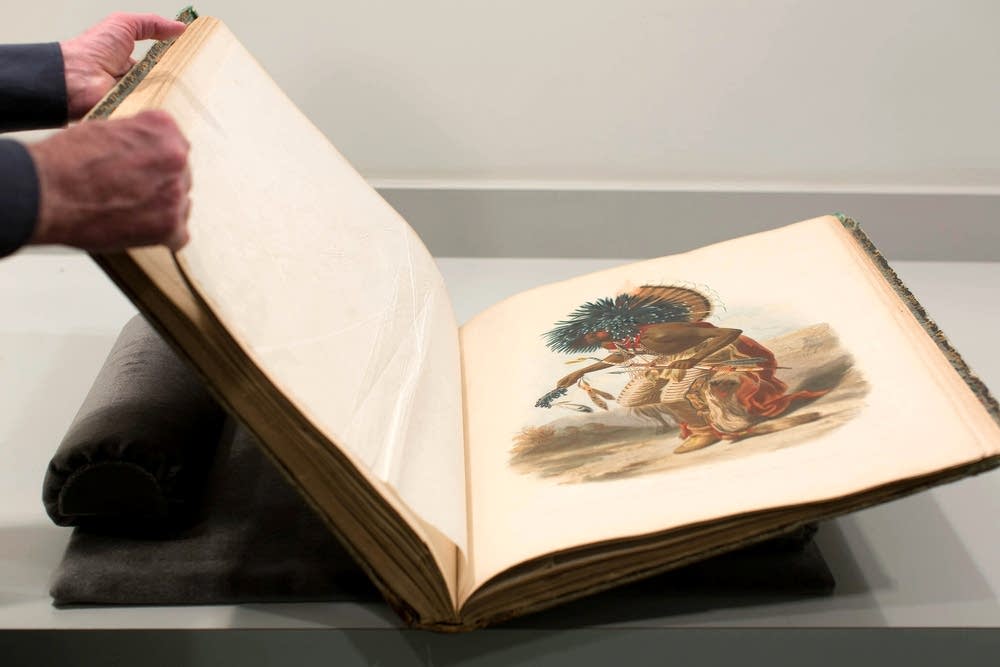 Bodmer prints