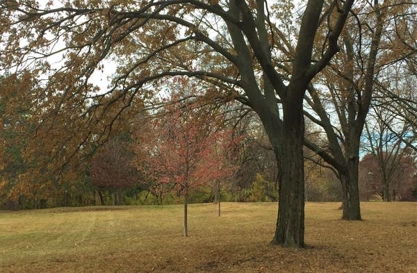 Weekend temps close to normal; Chance of rain & snow in some areas Saturday