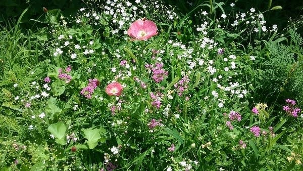 July heat continues; chance of isolated storms Sunday afternoon