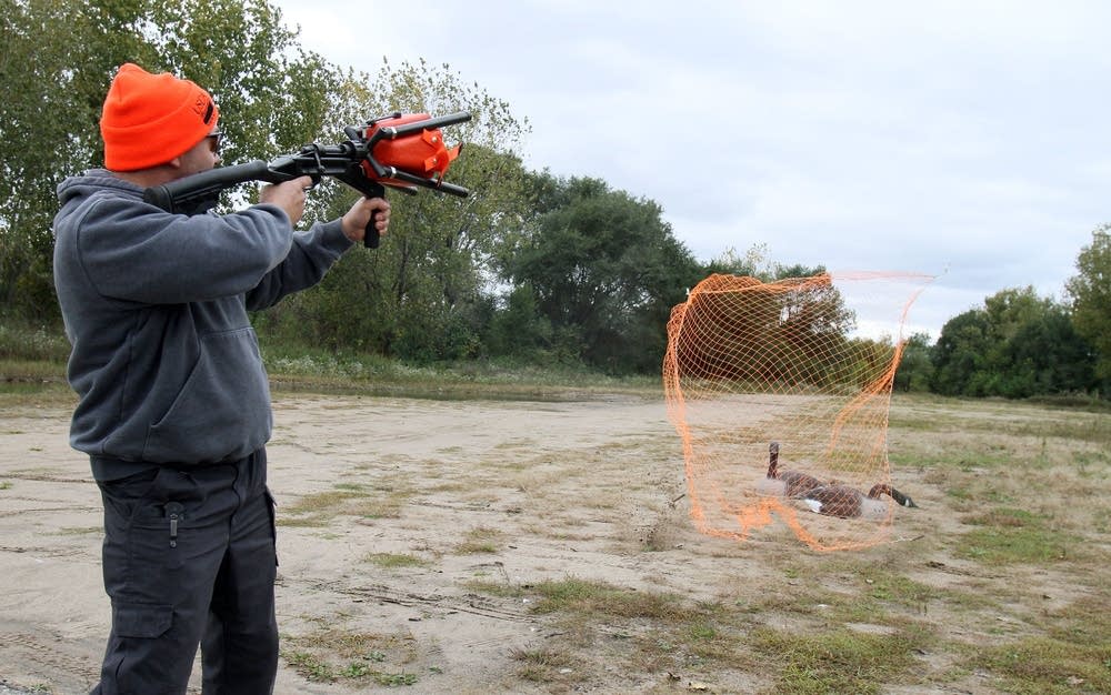 Demonstrating net gun