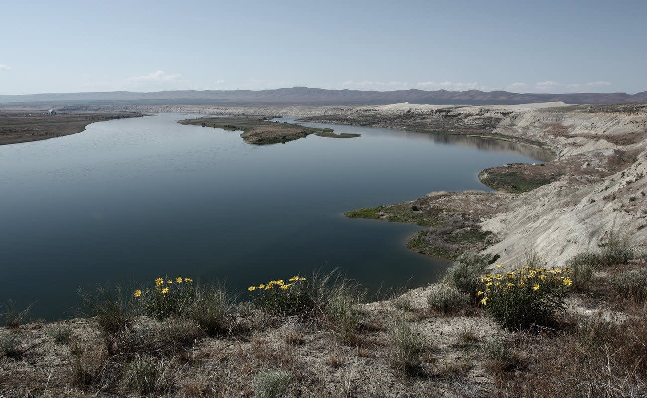 The Hanford Reach