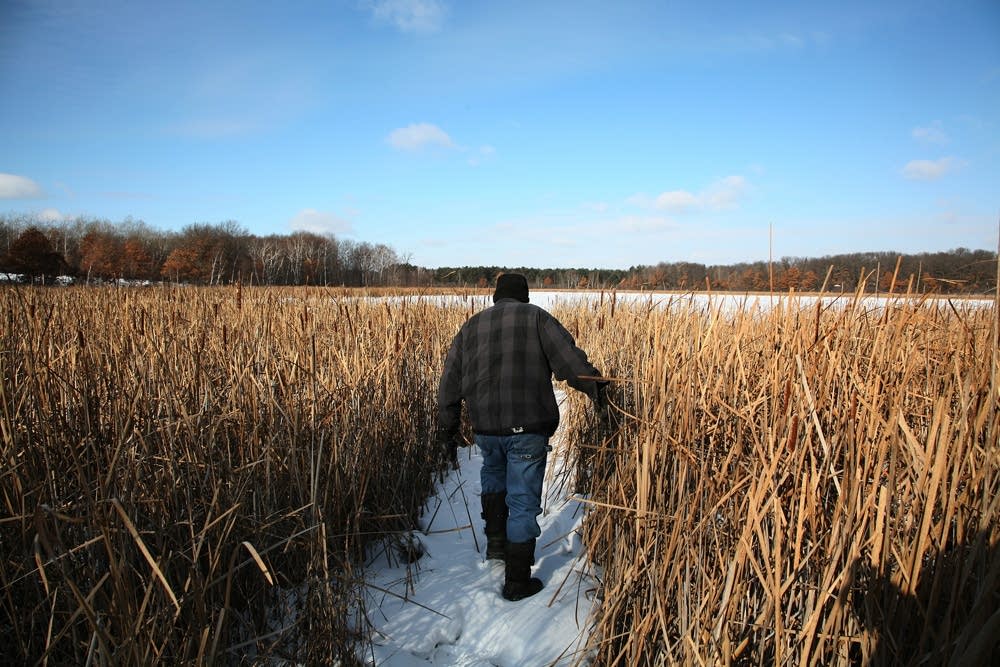 Long Pond