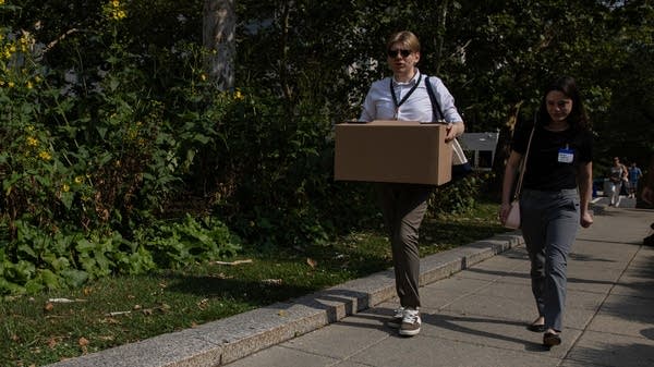 What's behind all the layoffs?