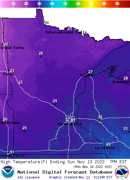 rt1113h8
