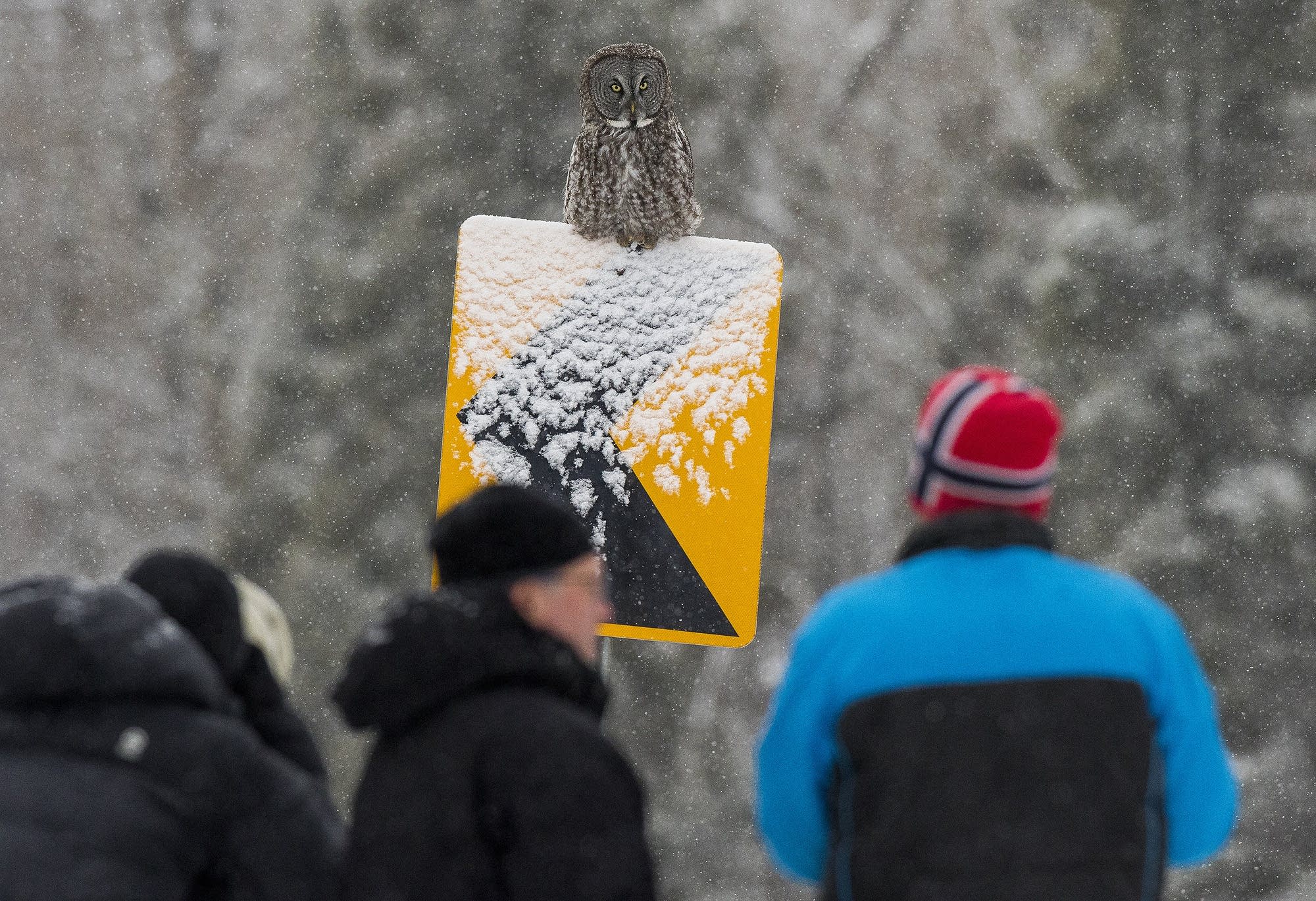 A group of photographers responded to a social media alert.