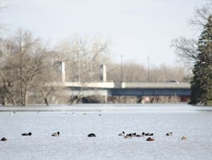 Woodlawn Park