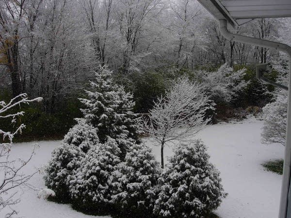 Snowy yard