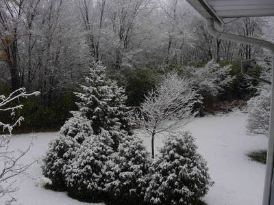 Snowy yard