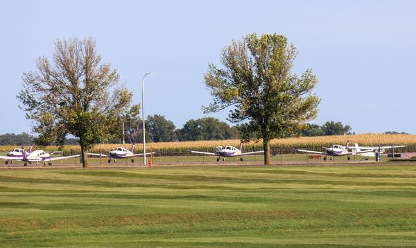 Several small planes are parked in a field next to trees.