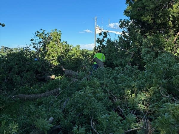 Utility crews working to restore power in central Minnesota, more than a day after severe storms