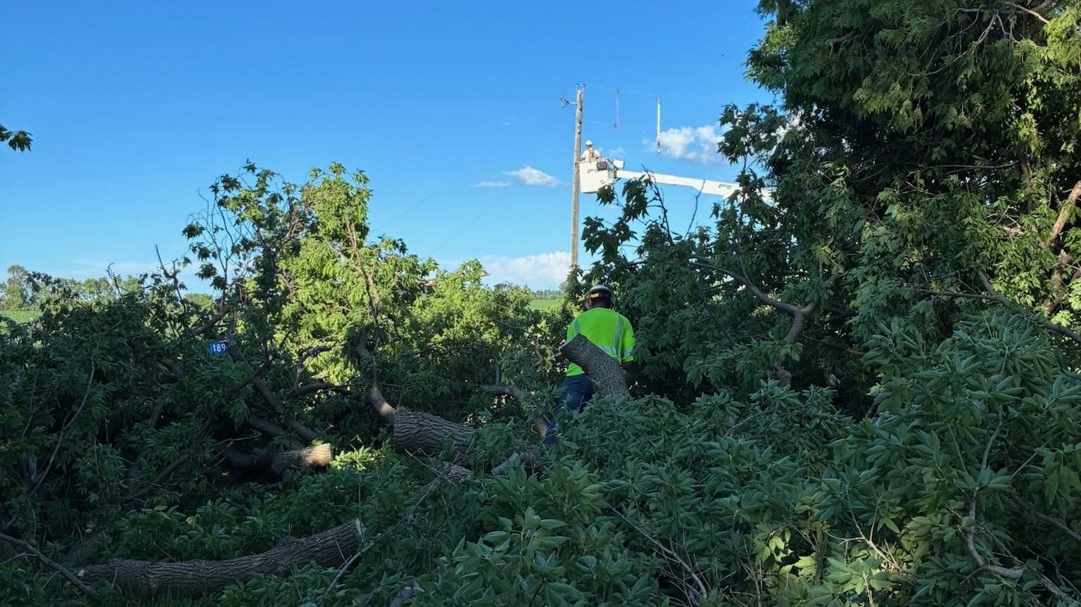 Utility crews working to restore power in central Minnesota, more than a day after severe storms