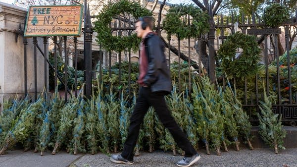 A person walks past Christmas trees for sale in the East Village.