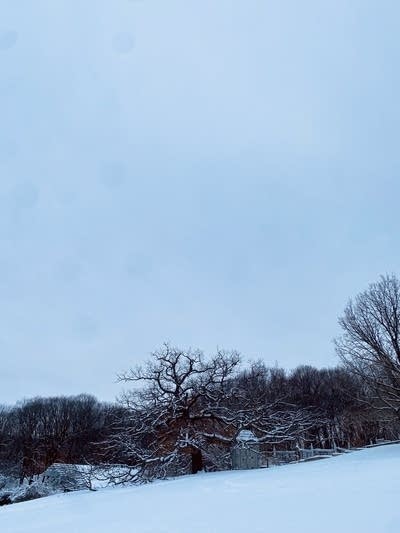 landscape outside the Reedy Gallery